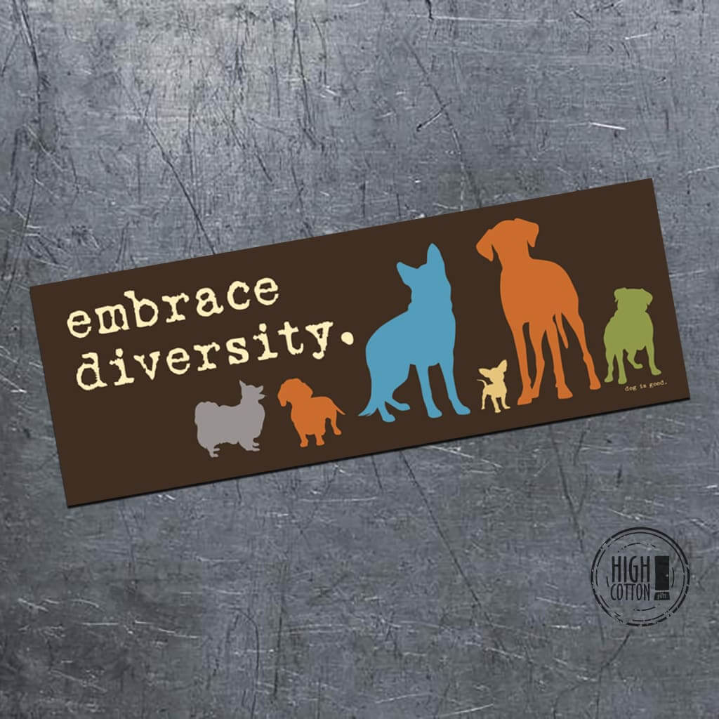 Embrace Diversity bumper magnet
