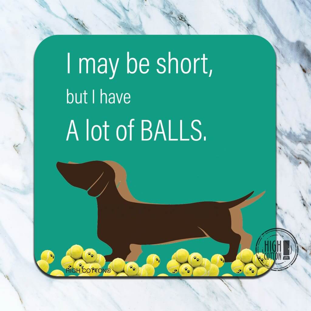 I may be short but I have a lot of balls- funny coaster