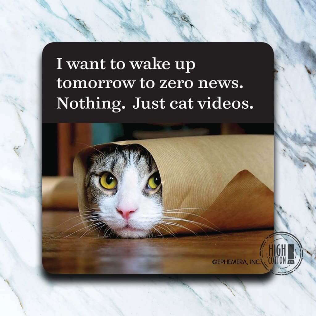Nothing. Just Cat Videos funny coaster