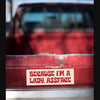 Because I'm A Lady, Assface Car Magnet