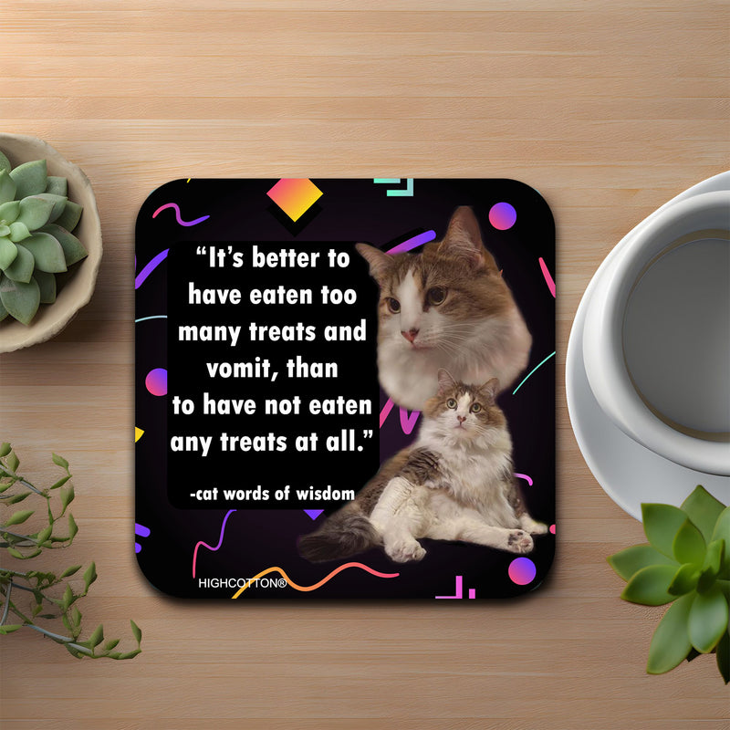 It's Better To Have Eaten Too Many Treats Coaster