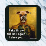 Fake Throw The Ball Again Coaster