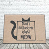 Don't bother me right meow funny doormat