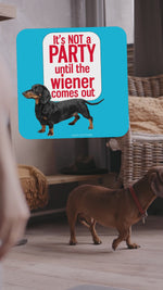 Wiener Comes Out Funny Coaster