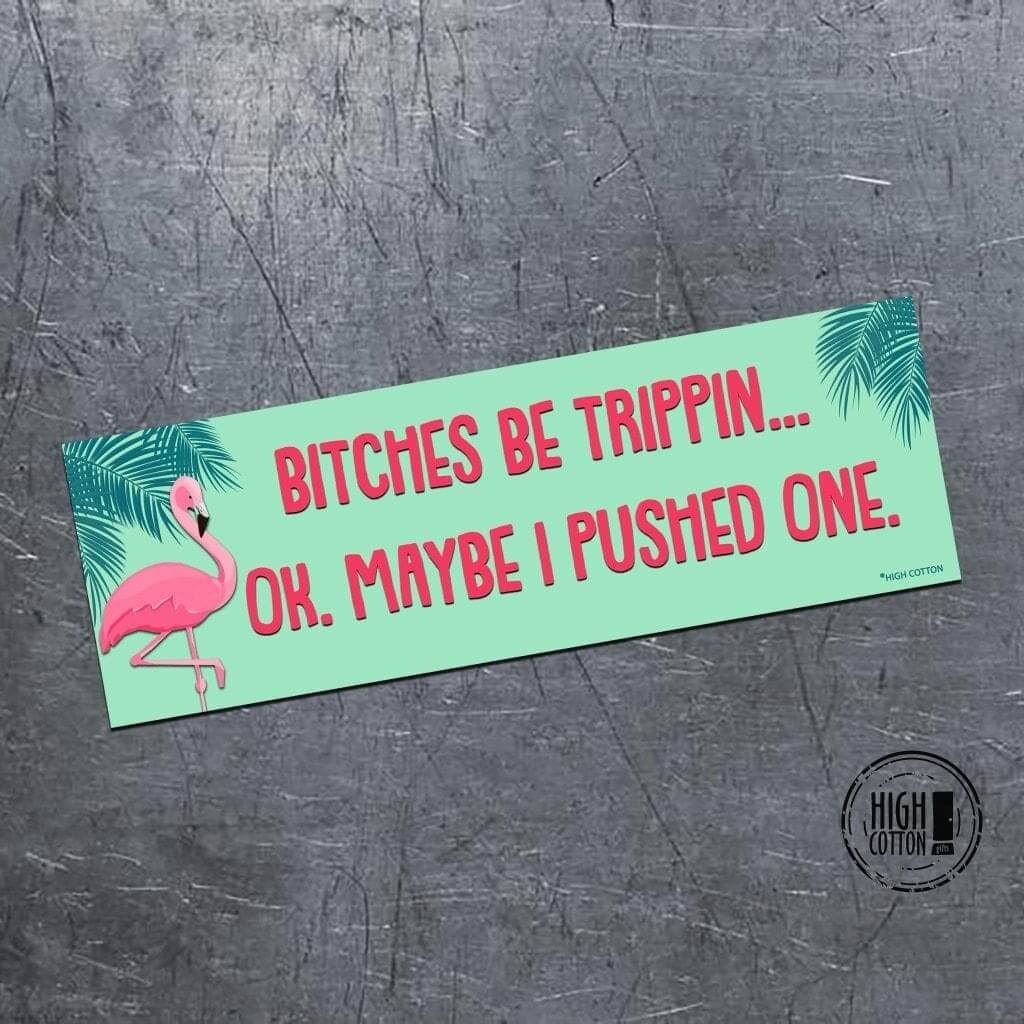 B*tches be trippin...ok. maybe I pushed one. - bumper magnet