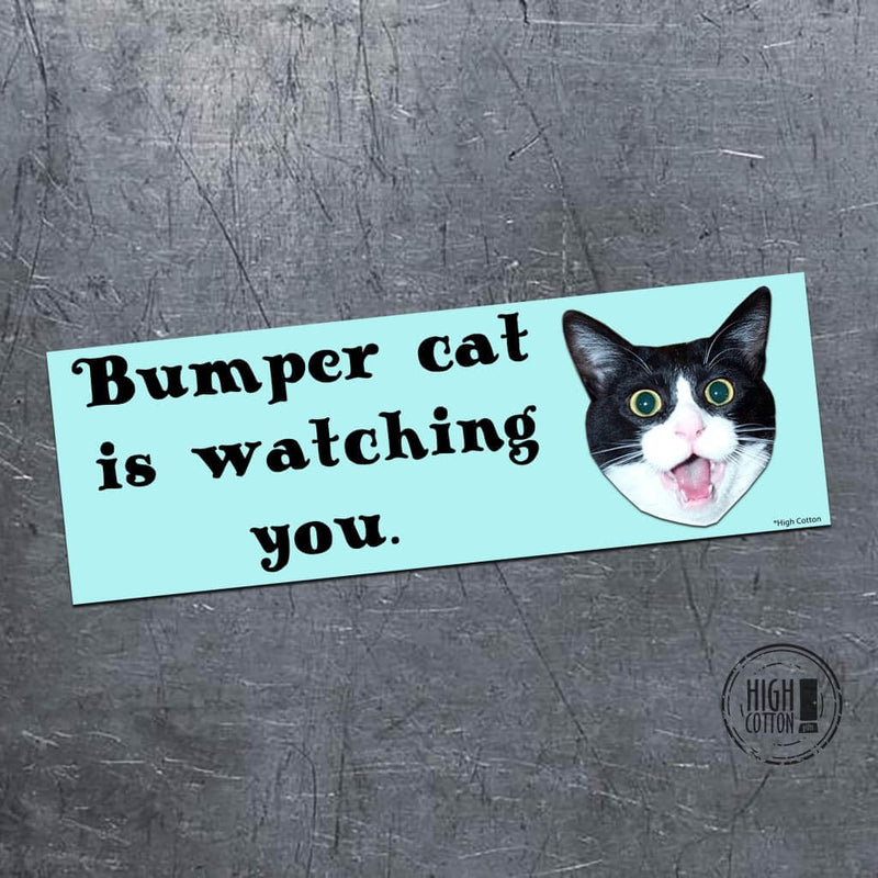 Bumper cat - bumper magnet
