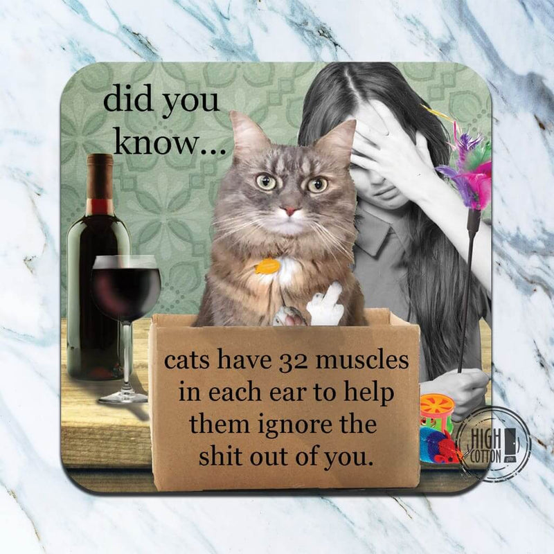Cats ignore you- funny coaster
