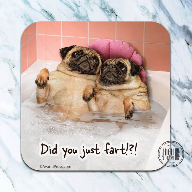 Did you just fart - funny coaster